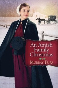 bokomslag Amish Family Christmas