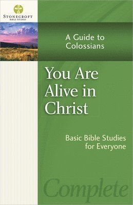 bokomslag You Are Alive in Christ