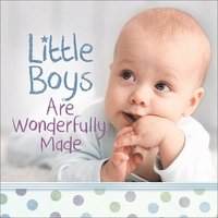 bokomslag Little Boys Are Wonderfully Made