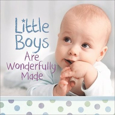 bokomslag Little Boys Are Wonderfully Made