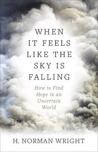 bokomslag When It Feels Like the Sky Is Falling: How to Find Hope in an Uncertain World