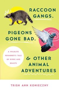 bokomslag Raccoon Gangs, Pigeons Gone Bad, and Other Animal Adventures