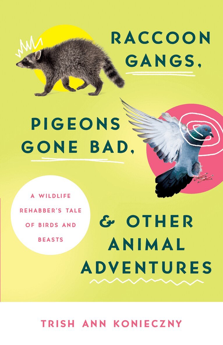 Trish Ann Konieczny - Raccoon Gangs, Pigeons Gone Bad, and Other Animal Adventures, Häftad