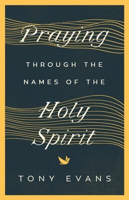 bokomslag Praying Through the Names of the Holy Spirit