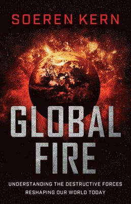 bokomslag Global Fire