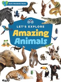 bokomslag Let's Explore Amazing Animals