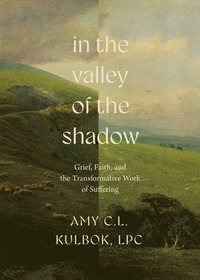 bokomslag In the Valley of the Shadow