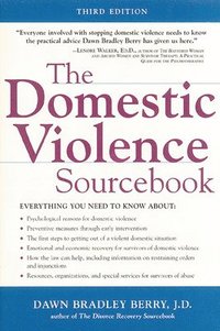 bokomslag Domestic Violence Sourcebook, The