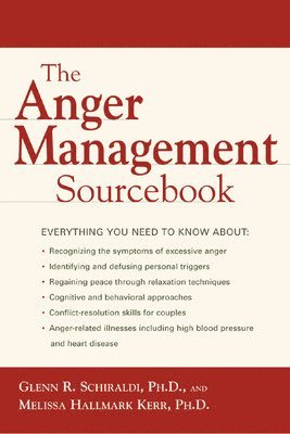 bokomslag Anger Management Sourcebook