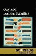 bokomslag Gay and Lesbian Families