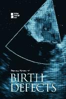 Noël Merino - Birth Defects, Häftad