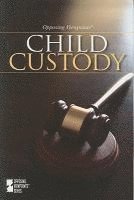 bokomslag Child Custody