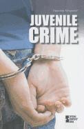 bokomslag Juvenile Crime