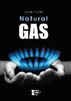 Dedria Bryfonski - Natural Gas, Häftad