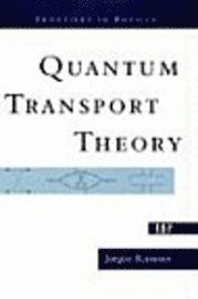 bokomslag Quantum Transport Theory