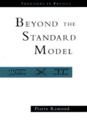 bokomslag Beyond the Standard Model
