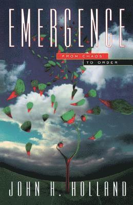 bokomslag Emergence: From Chaos to Order