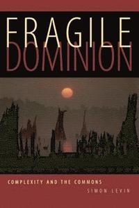 bokomslag Fragile Dominion