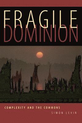 bokomslag Fragile Dominion