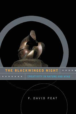 bokomslag Blackwinged Night