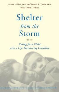 bokomslag Shelter From The Storm