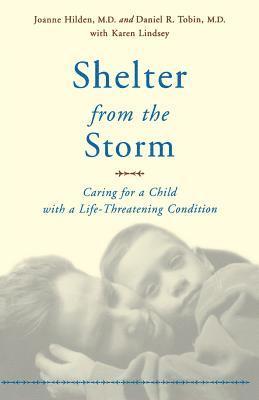 bokomslag Shelter From The Storm
