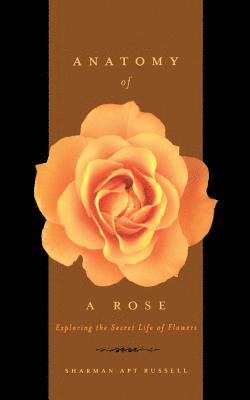 bokomslag Anatomy Of A Rose