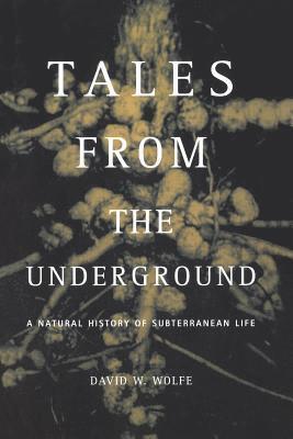 Tales From The Underground 1