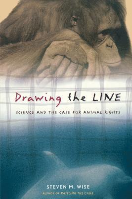 bokomslag Drawing the Line