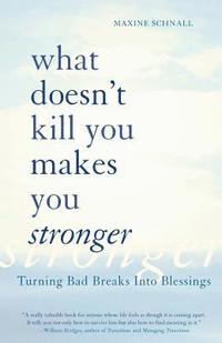 bokomslag What Doesn't Kill You Makes You Stronger