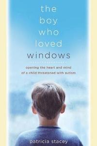 bokomslag Boy Who Loved Windows
