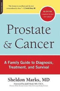 bokomslag Prostate and Cancer