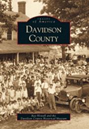 bokomslag Davidson County