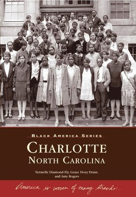 Vermelle Diamond Ely, Grace Hoey Drain, Amy T Rogers - Charlotte, North Carolina, Häftad