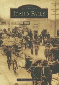 bokomslag Idaho Falls