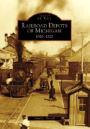 bokomslag Railroad Depots of Michigan