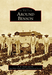 E. Kathy Suagee, E Kathy Suagee - Around Benson, Häftad