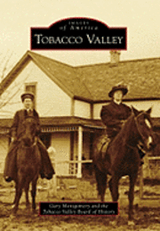 bokomslag Tobacco Valley