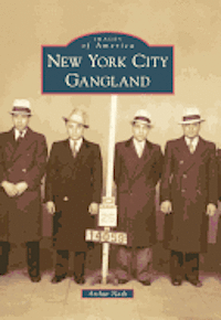 bokomslag New York City Gangland