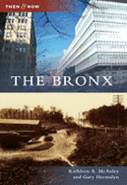 bokomslag The Bronx