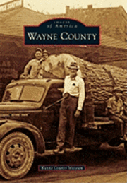 bokomslag Wayne County