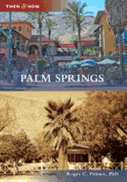 bokomslag Palm Springs