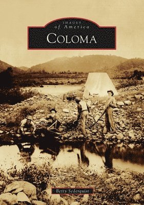 Coloma 1