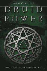 bokomslag Druid Power: Celtic Faerie Craft & Elemental Magic