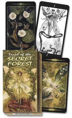 bokomslag Tarot of the Secret Forest