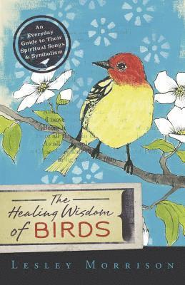 Lesley Morrison - Healing Wisdom of Birds, Häftad