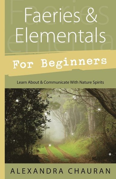 bokomslag Faeries and Elementals for Beginners