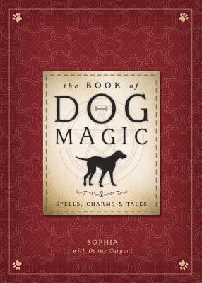 bokomslag Book of Dog Magic
