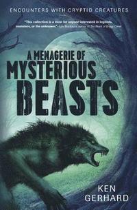 bokomslag Menagerie of Mysterious Beasts