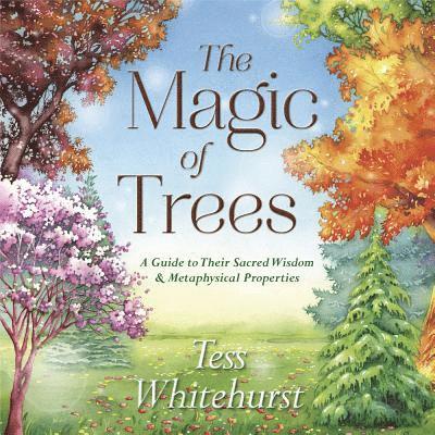 Tess Whitehurst - Whitehurst, T: Magic of Trees, Häftad